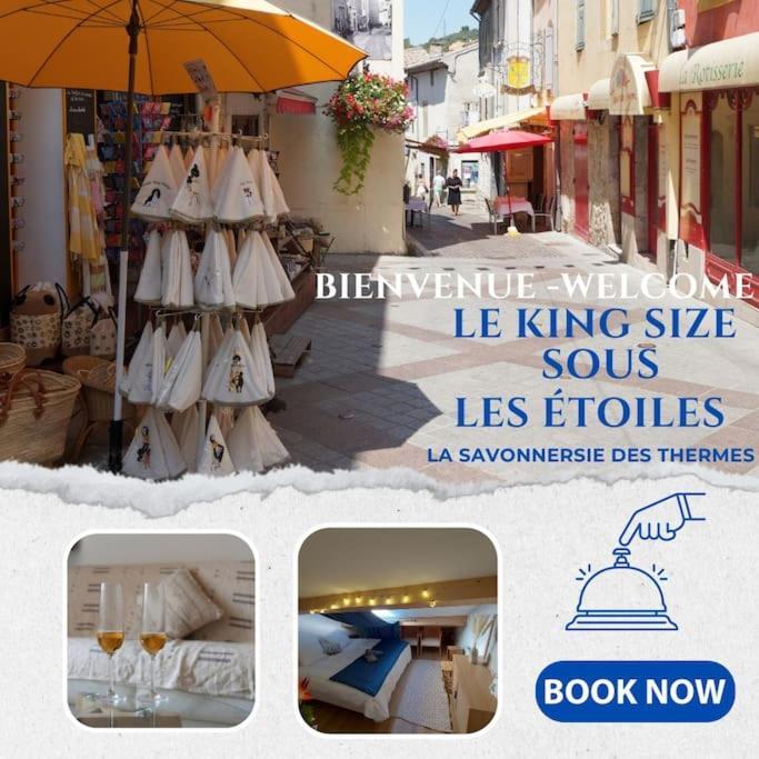 Le King & Suites Etoilees Greoux-les-Bains ภายนอก รูปภาพ